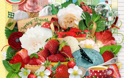 Strawberry Mint Collection – Dreaming of Summer